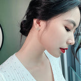 Flytonn-S925 Silver Needle South Korean Heart Beat Diamond 2024 New Fashion Network Red Temperament Small Earrings and Earrings Female