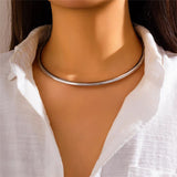 Flytonn-Whitney Vintage Iron Metal Torques Choker Necklace